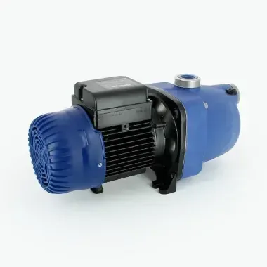 Bomba Polaris